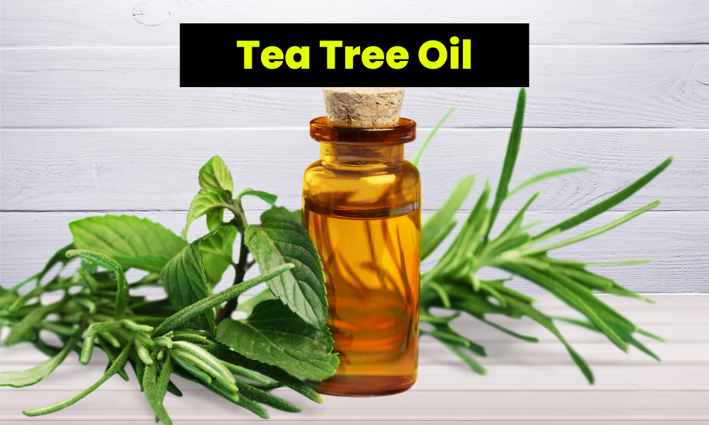 Tea Tree Oil