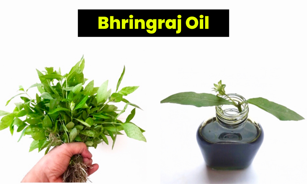 Bhringraj Oil