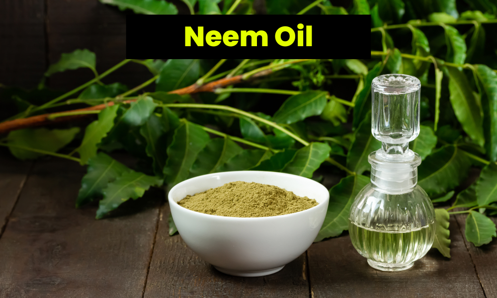 Neem Oil