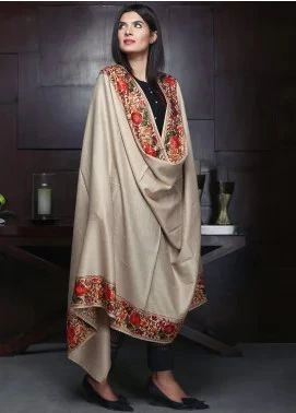 pakistani womens clothes