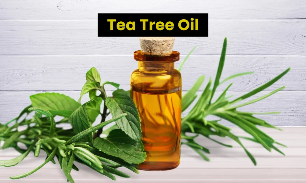 Tea Tree Oil