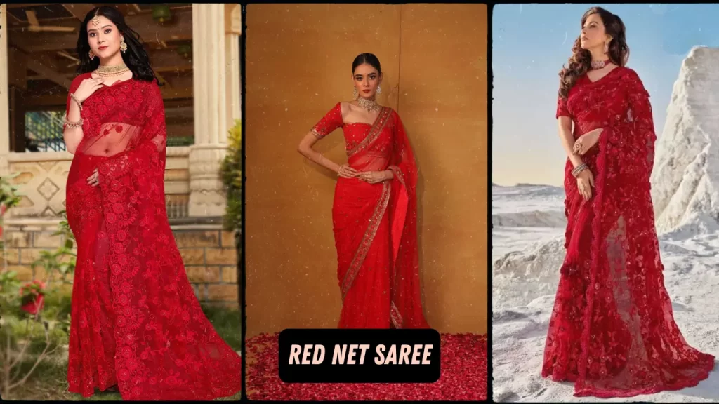 Red Net Saree